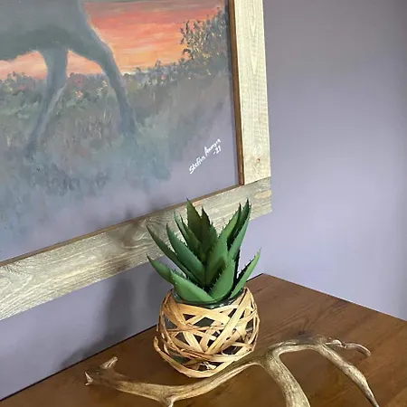 8 Seasons מלון Varangerbotn